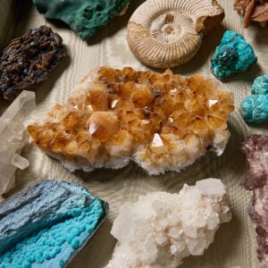 Natural History: Fossils & Minerals