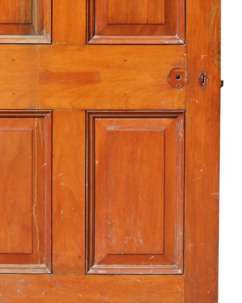 A 19th Century Mahogany Six Panel Door
