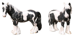 A Pair of Antique Cast Iron Shire Horse Statues