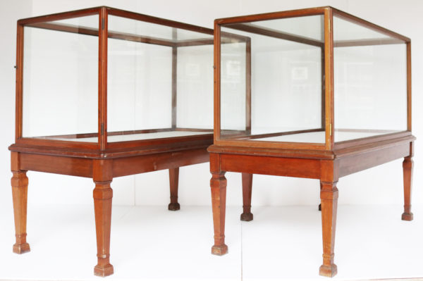 Pair of Antique Glazed Museum Display Cabinets