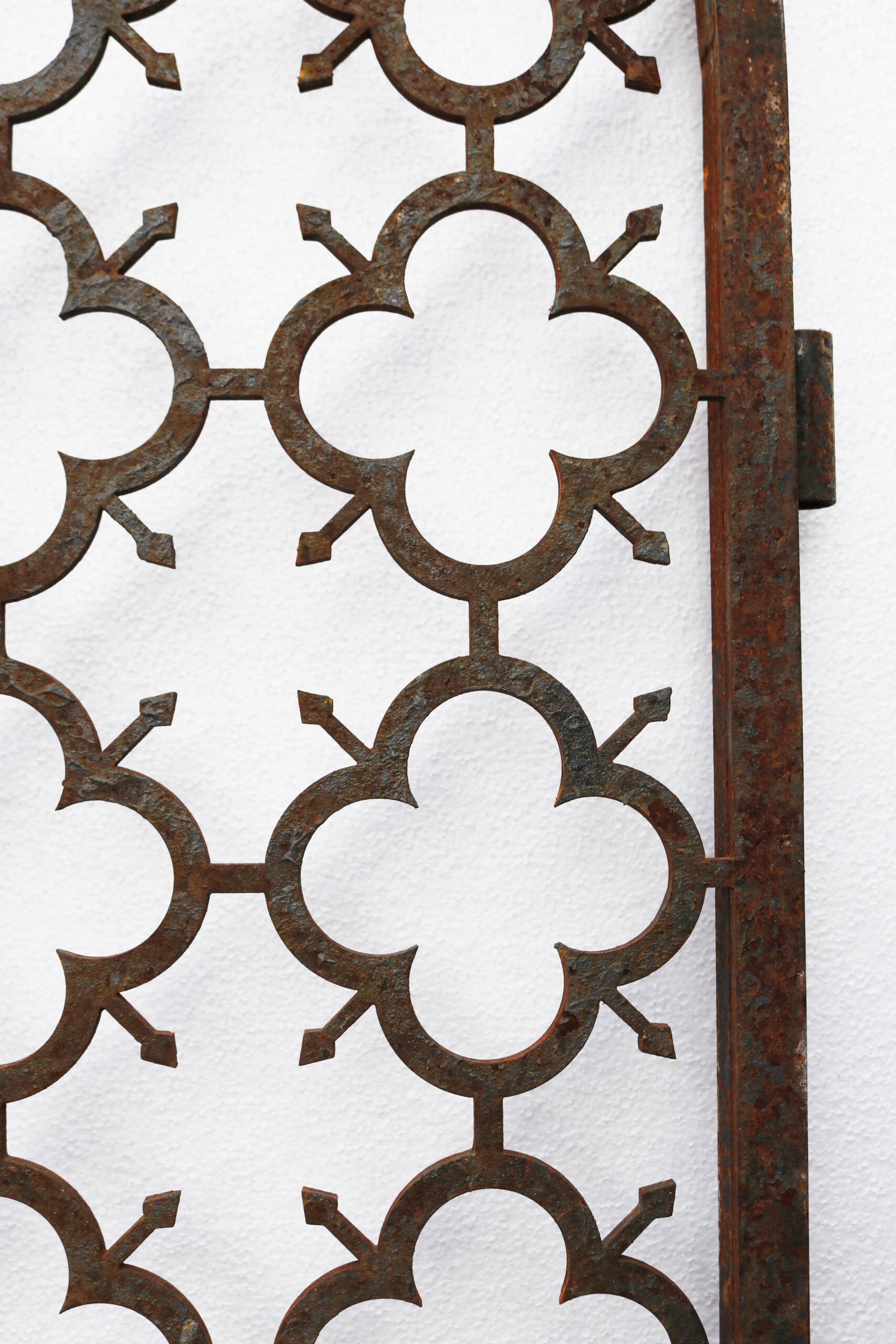 Pair of Tall Arched Metal Side Gates