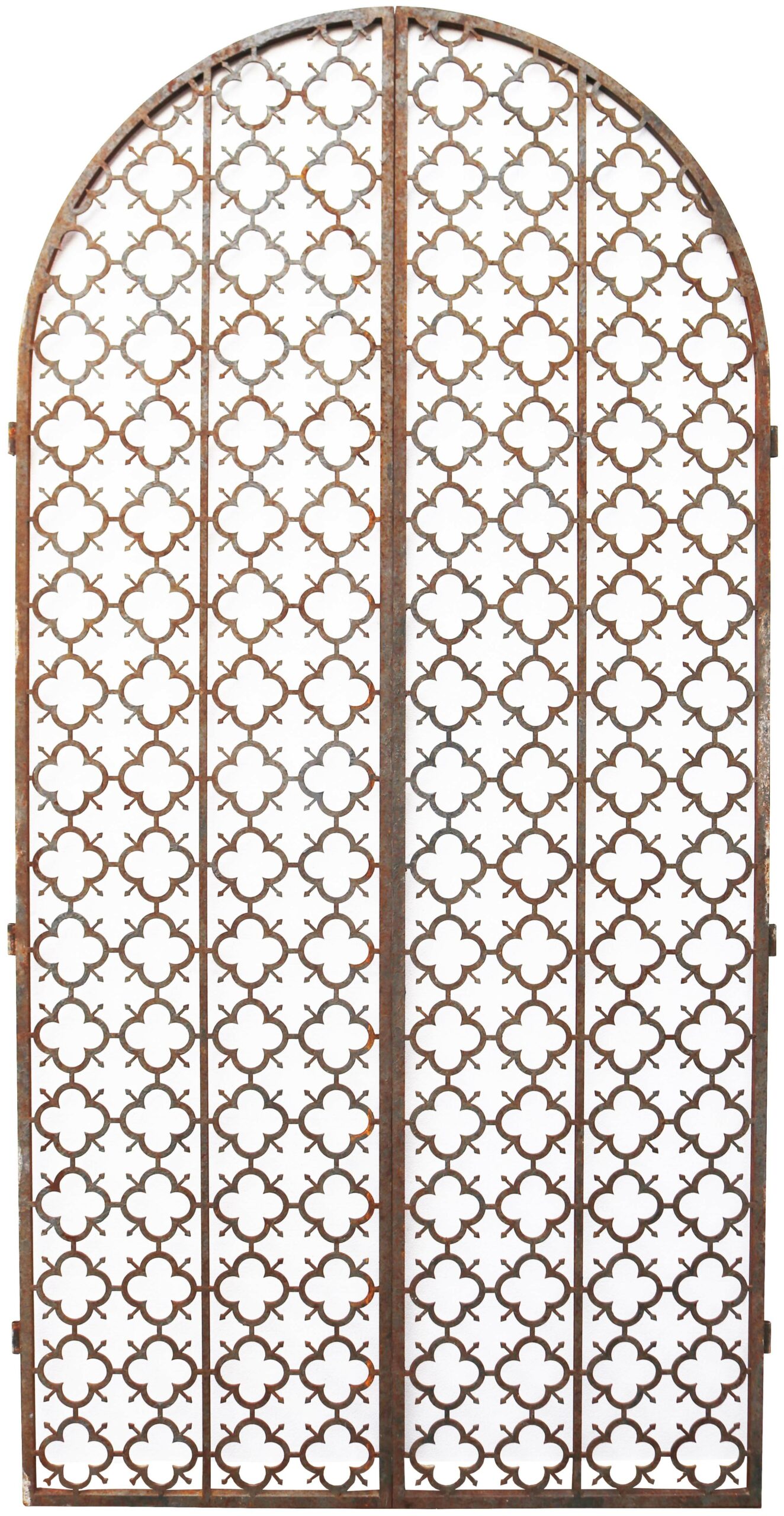 Pair of Tall Arched Metal Side Gates