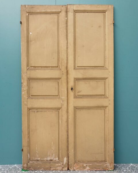 Set of Painted Pine French Cupboard Doors