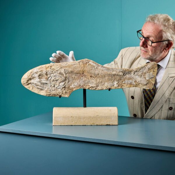 Prehistoric Fossil Fish Specimen