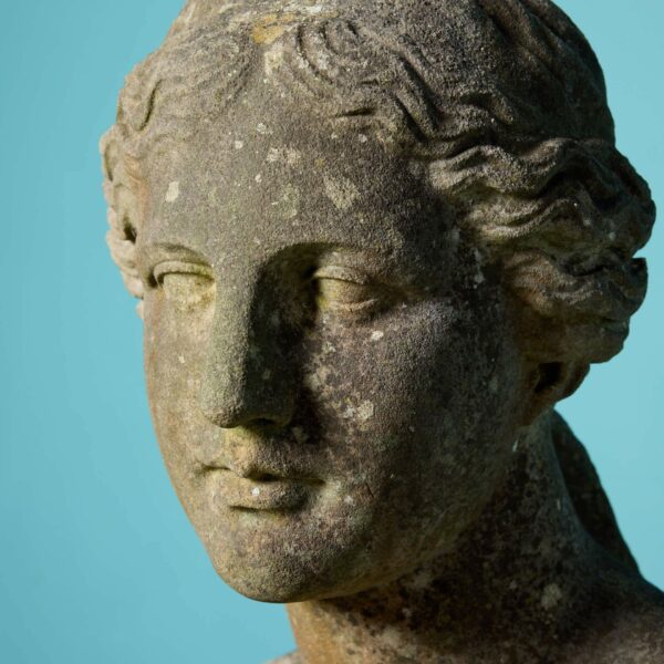 Antique Marble Bust of Venus