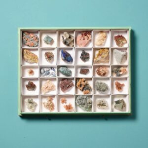 Collection of Museum Mineral Specimens in Display Case