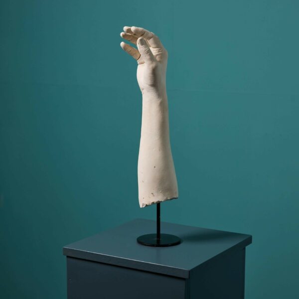 Mounted Plaster Hand Ex. Tucker Collection