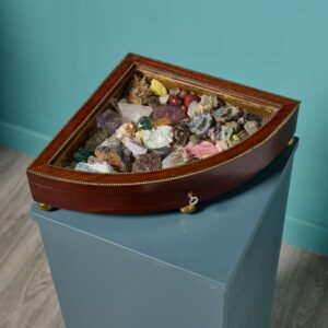 Collection of Minerals in Fan Shaped Case
