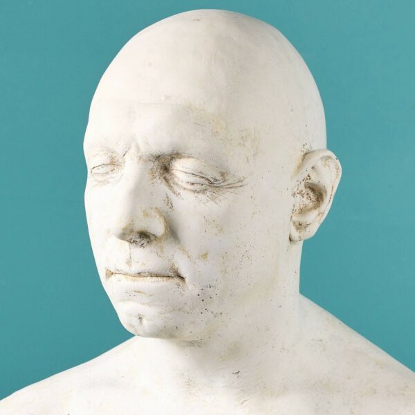 Plaster Cast Male Bust Ex. Tucker Collection