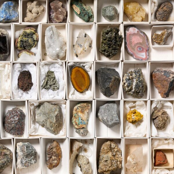 Collection of Museum Minerals in Display Case