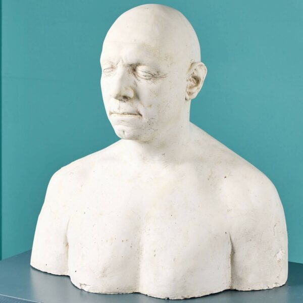 Plaster Cast Male Bust Ex. Tucker Collection