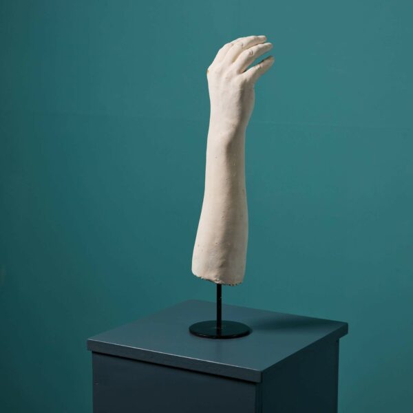 Mounted Plaster Hand Ex. Tucker Collection