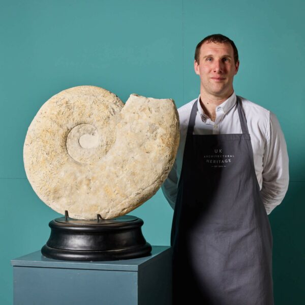 Large Natural Fossilised Ammonite Specimen