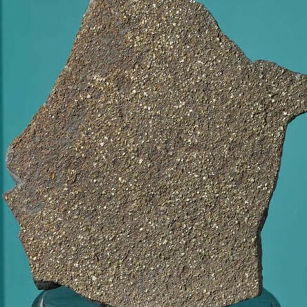 Large Natural Pyrite on Welsh Slate