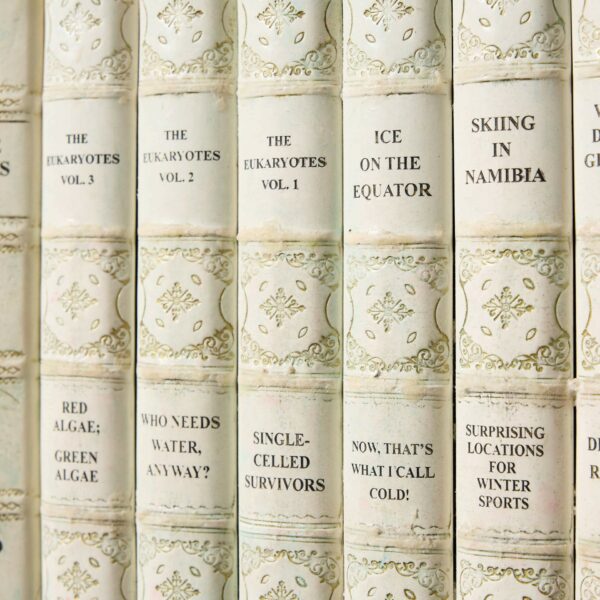 Large Set of Reclaimed Faux Library Books