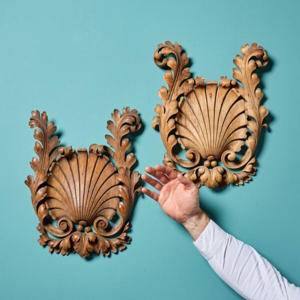 Pair of Georgian Style Scallop Shell Wall Carvings