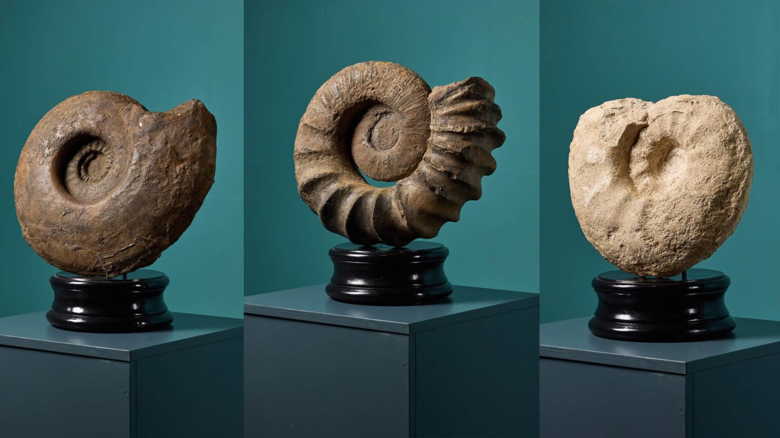 Professor Gordon Walkden