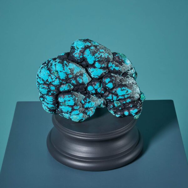 Natural Blue Botryoidal Malacholla Specimen