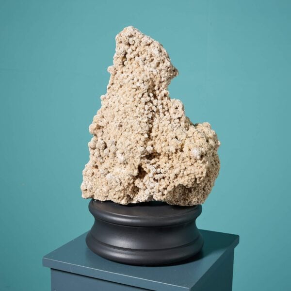 Large North African Selenite Desert Rose Crystal Specimen