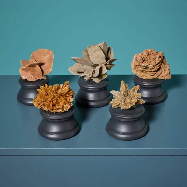 Collection of Varied Desert Rose Specimens