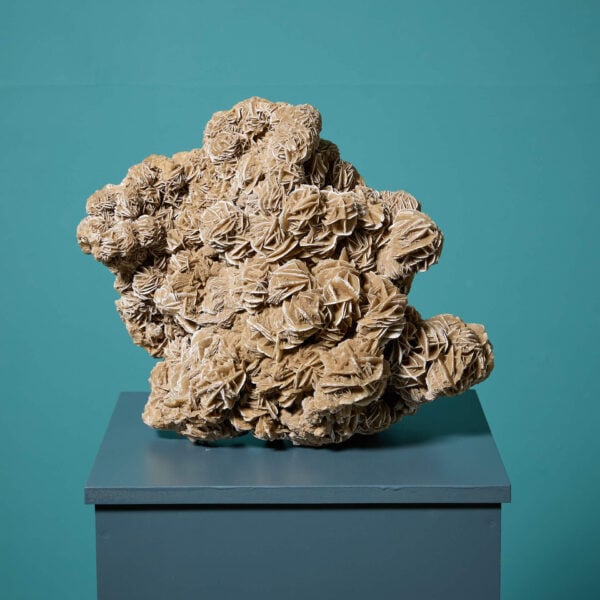 Large Desert Rose Selenite Crystal Formation