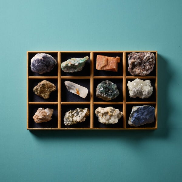 Collector's Tray of 12 Fossil Specimens Including Quartz, Amethyst, Pyrite, and fluorite