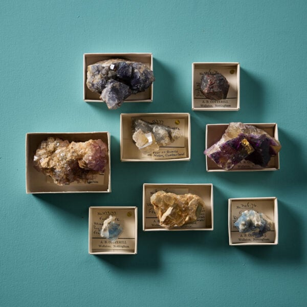 Collection of 8 Prehistoric Minerals including Fluorites, Quartz and Almandine