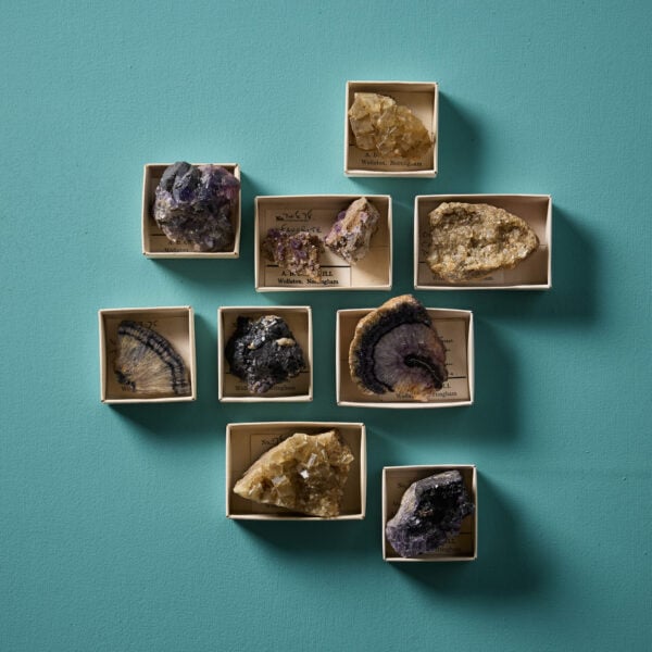 Collection of 9 Prehistoric Minerals including Fluorites & Blue John